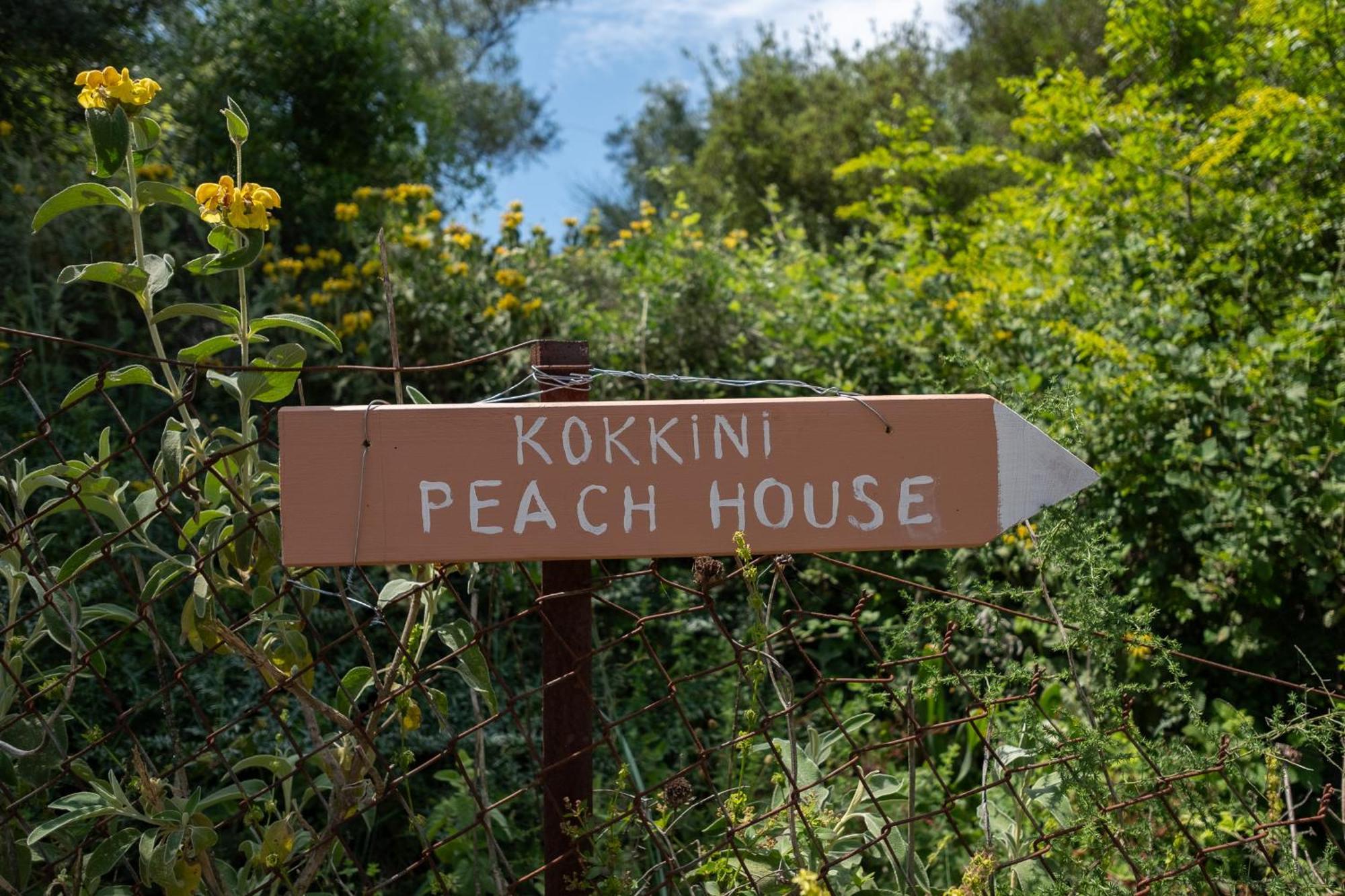 Appartement Kokkini Peach Budget Kokkínion