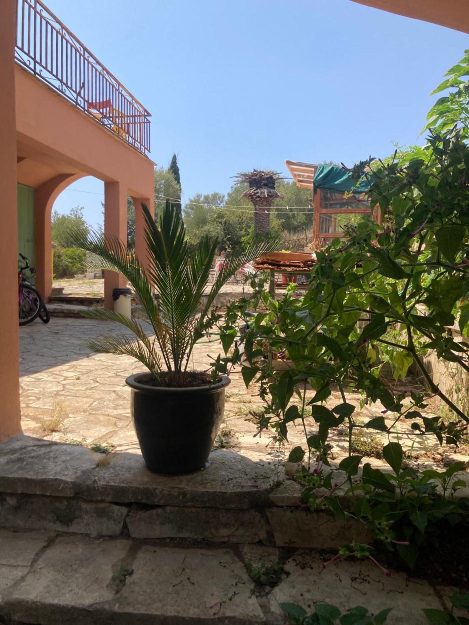 Appartement Kokkini Peach Budget *
